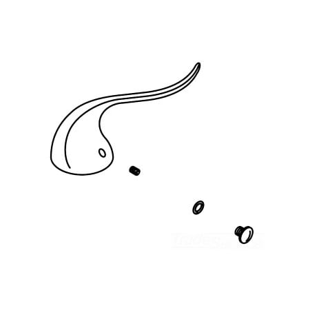 Kohler Handle Kit 1001795-47